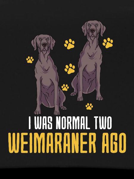 Weimaraner