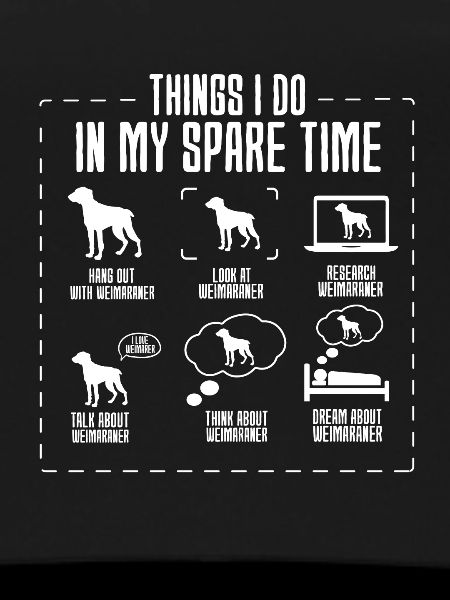 Weimaraner