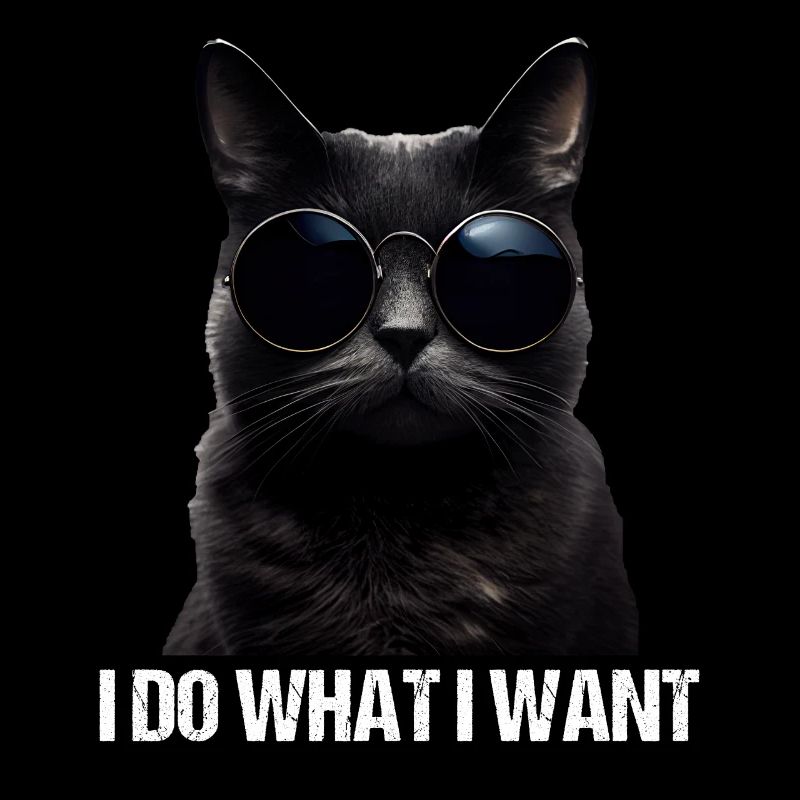 Katze Kätzchen Ich Mache Was Ich Will Katze