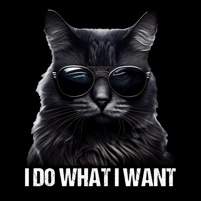 Katze Kätzchen Ich Mache Was Ich Will Katze