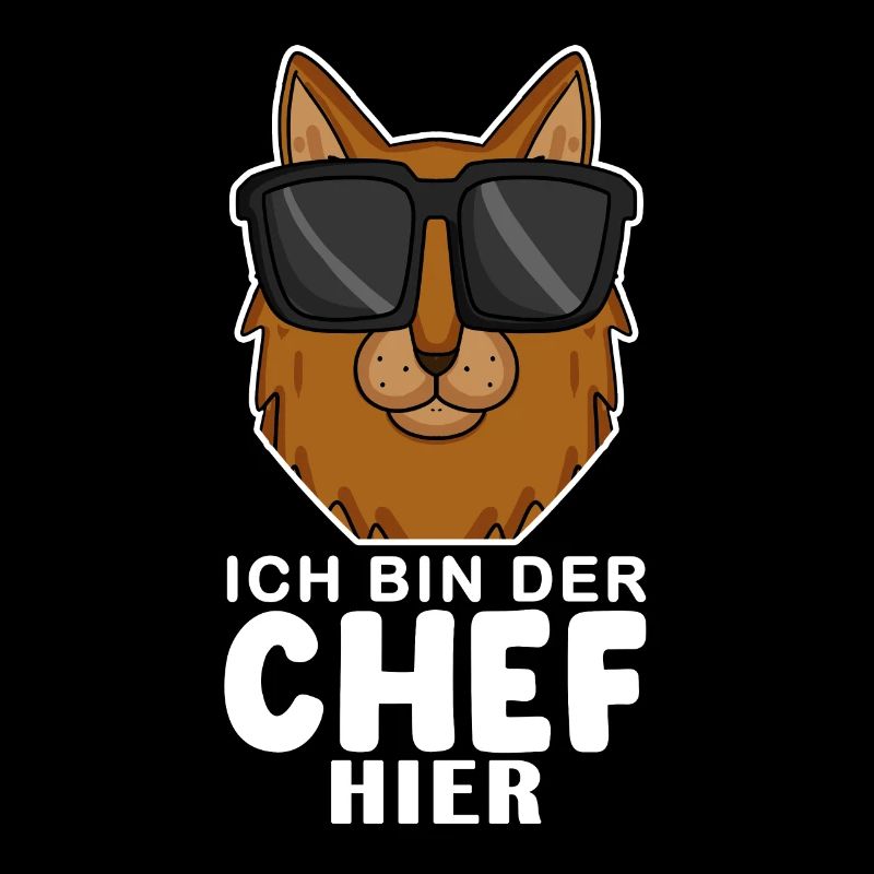 coole Katze - Somali Katze Spruch