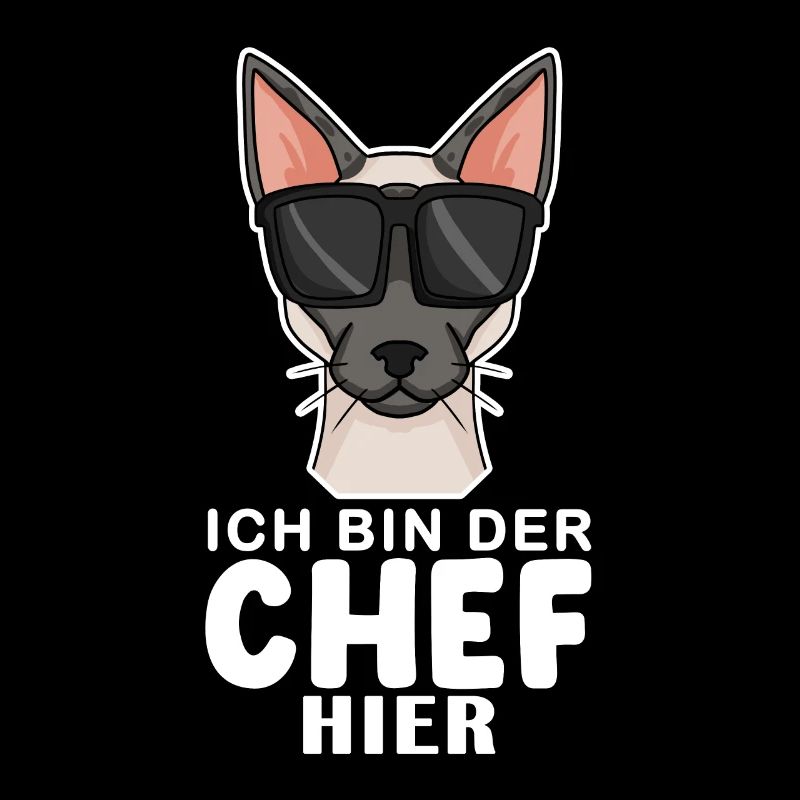 coole Katze - Siamkatze Spruch