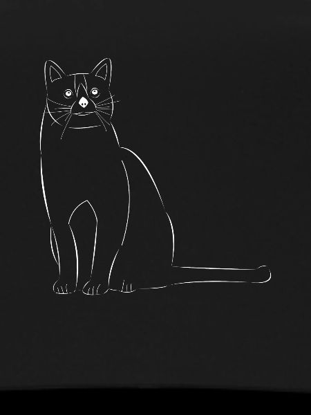 Cat drawn
