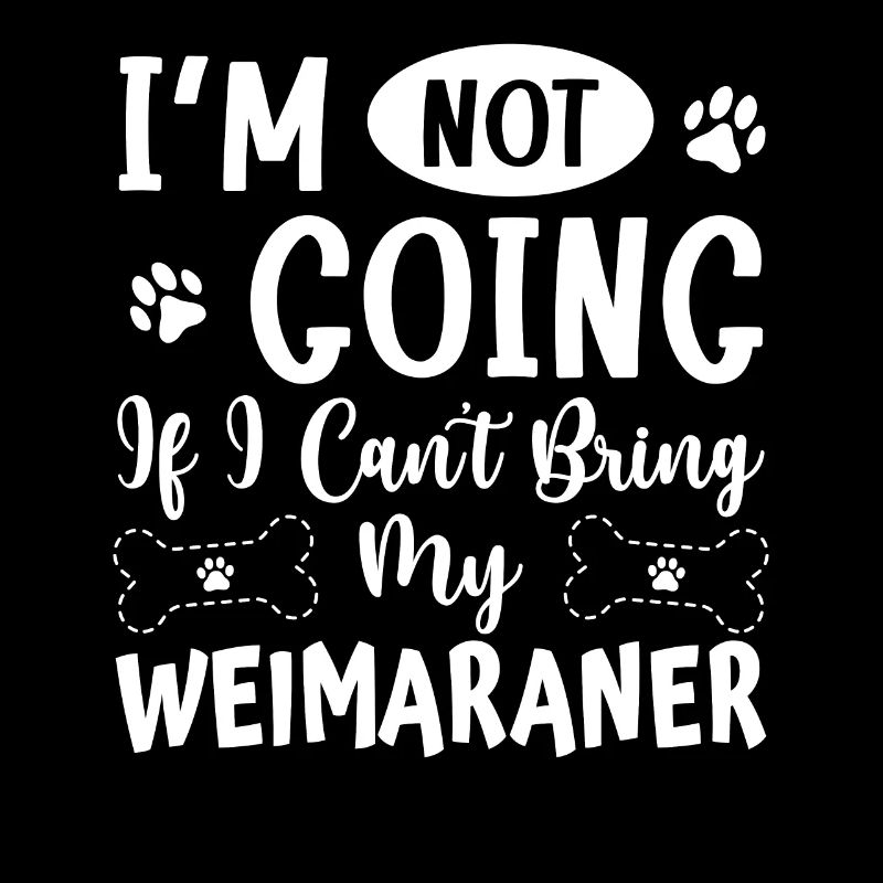 Weimaraner