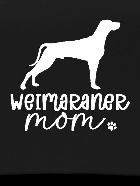 Weimaraner