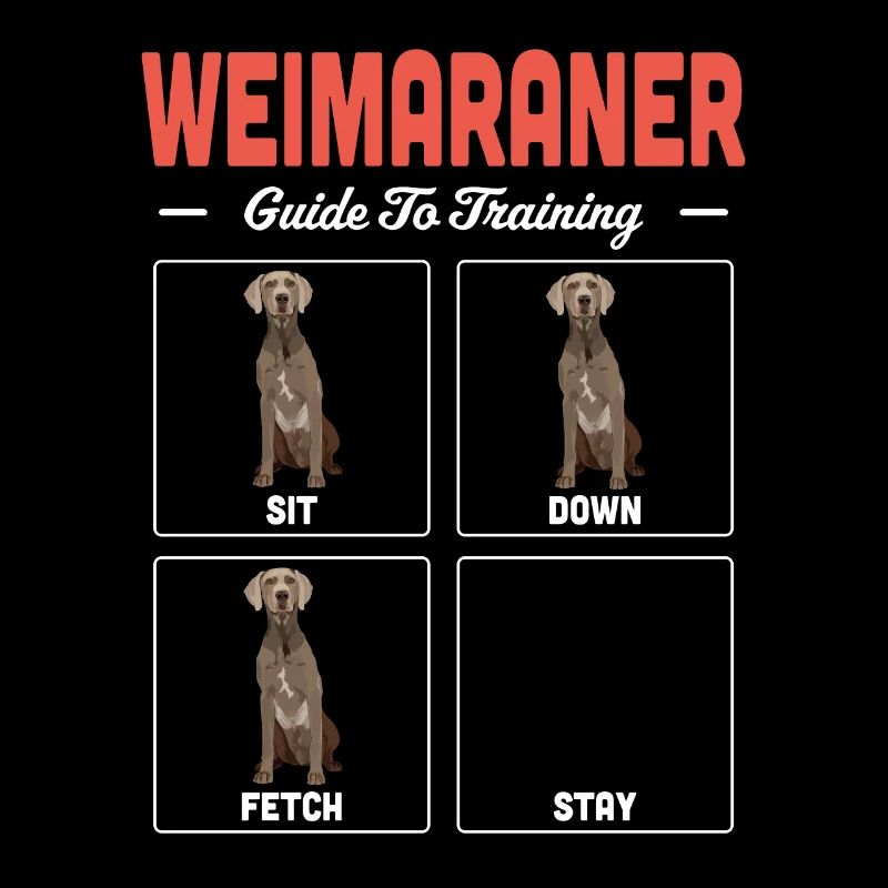 Weimaraner