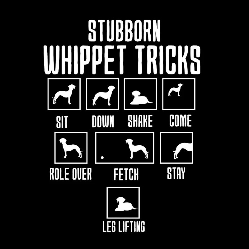 Whippet