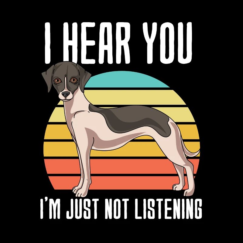 Whippet