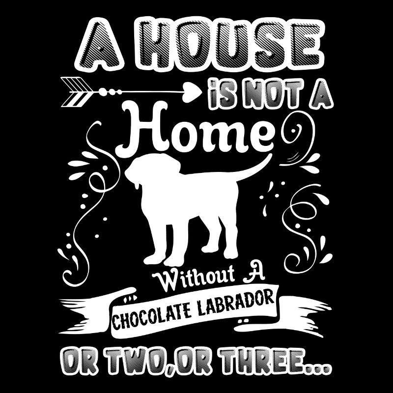 Chocolate Labrador Home Without Chocolate Labrador