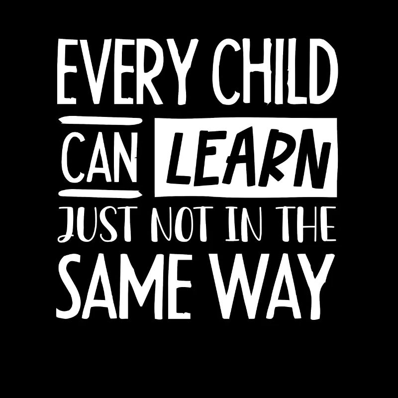 Special Needs Education, Special Education