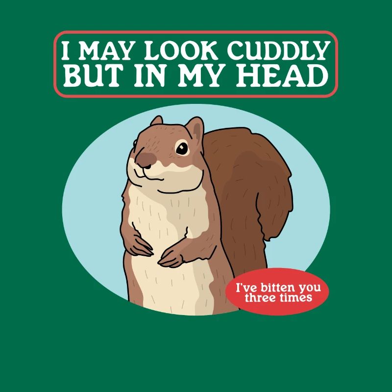 Cute Squirrel Squirrel Grey Squirrel Gift