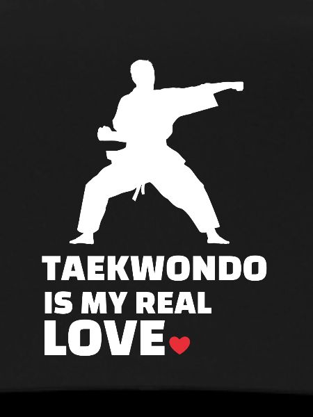 I love Taekwondo