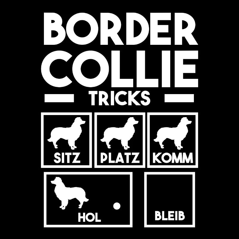 Hund Border Collie