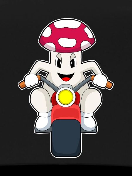 Pilz Motorcycle