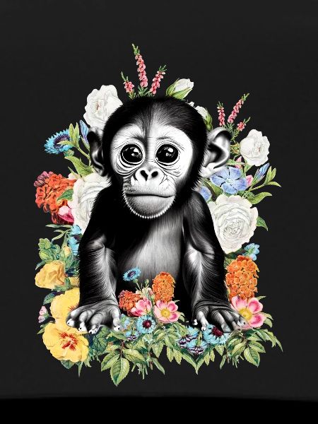 Fleurs de singe