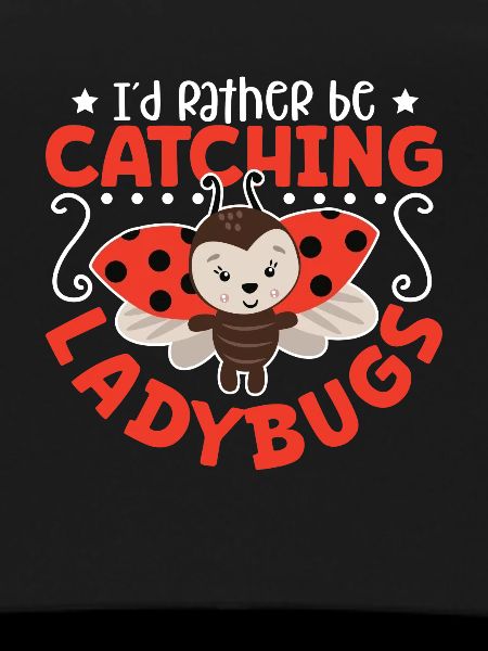 Ladybug Ladybug Entomology Insects