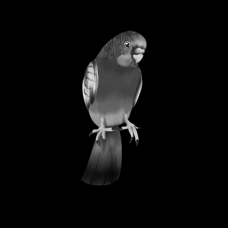 Dessin en noir et blanc d’une perruche