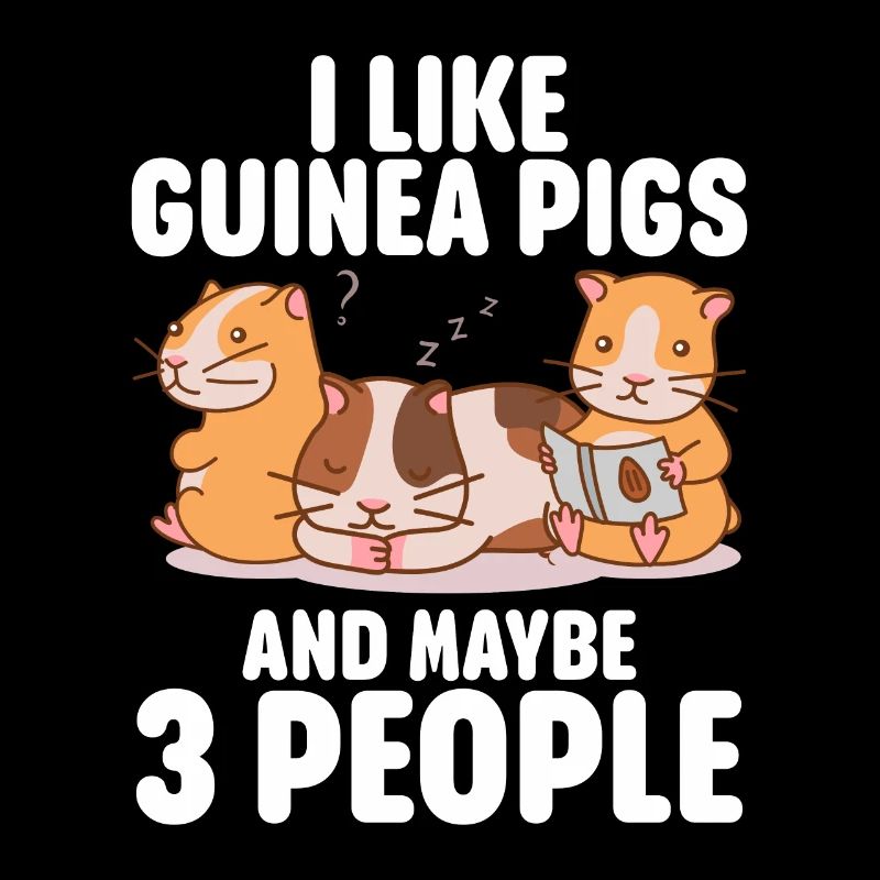 Cochon d’Inde Cadeau Pet Cochon d’Inde