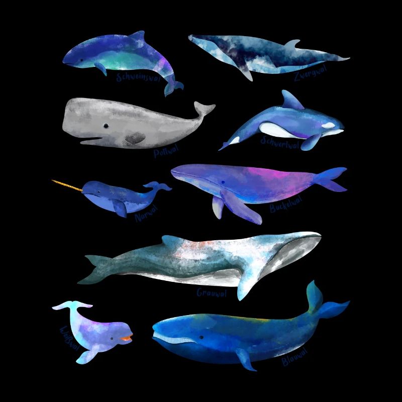 Baleines