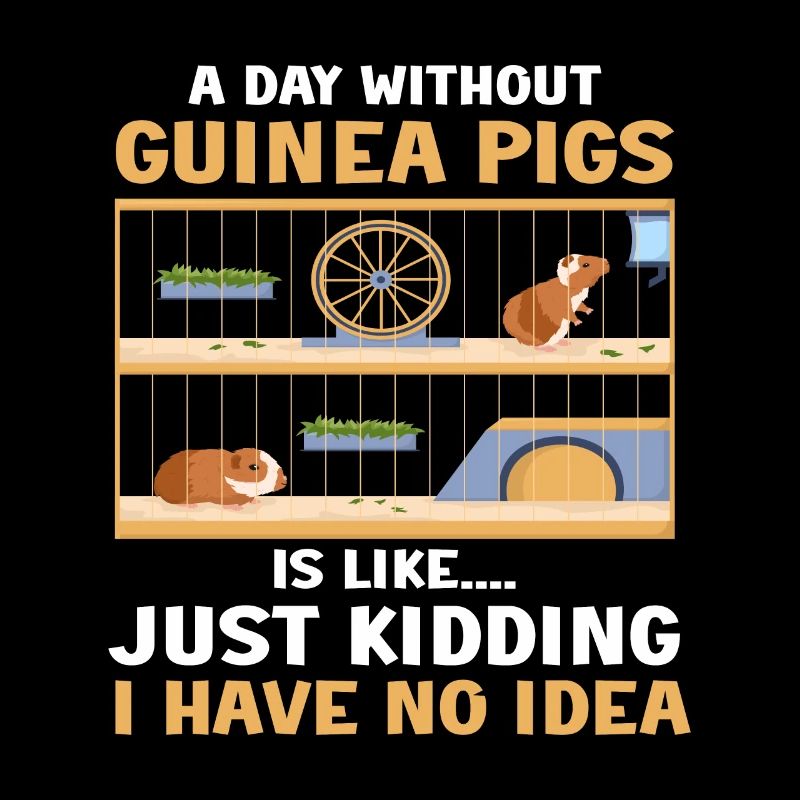 Cochon d’Inde Cadeau Pet Cochon d’Inde