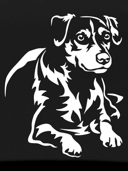 Dansk Svensk Gaardhond "Black Edition"