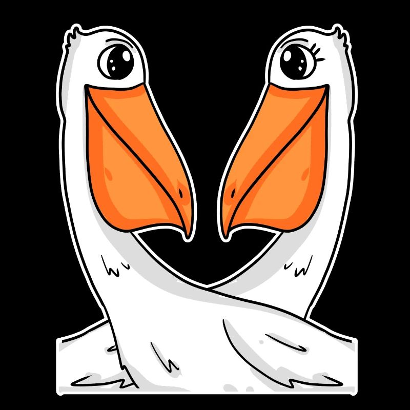 two pelicans