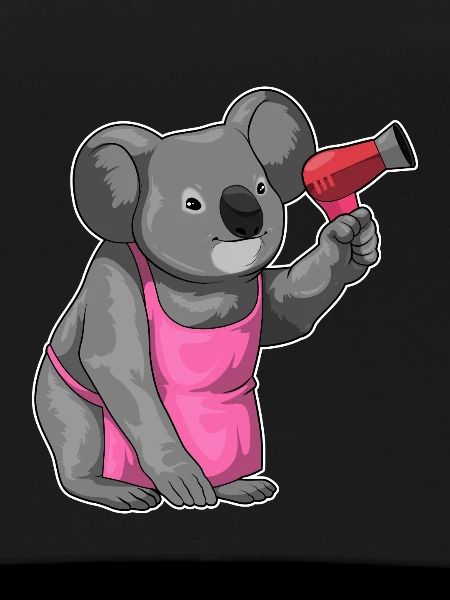 Koala Friseur Föhn