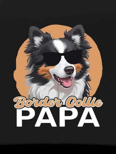 Border Collie Papa