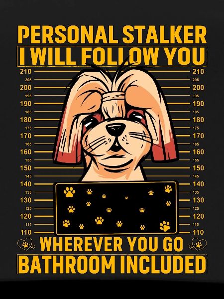 Shih Tzu Stalker
