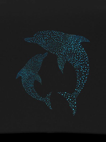 Delfine Dolphins