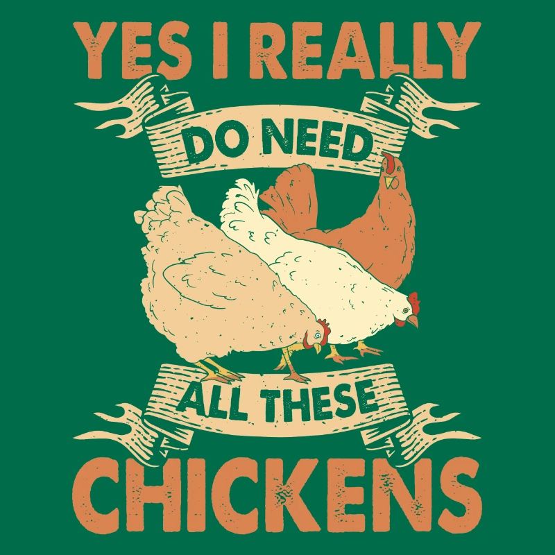 Poulets Élevage de poulets