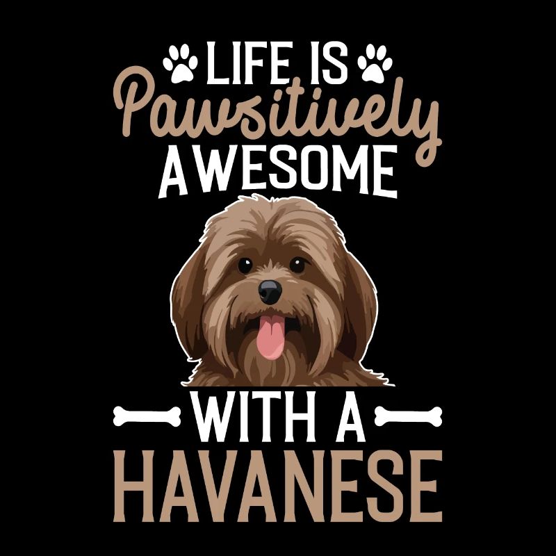 Life is pawsitively awesome with a Havanese