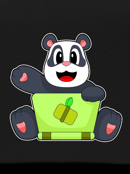 Panda Laptop