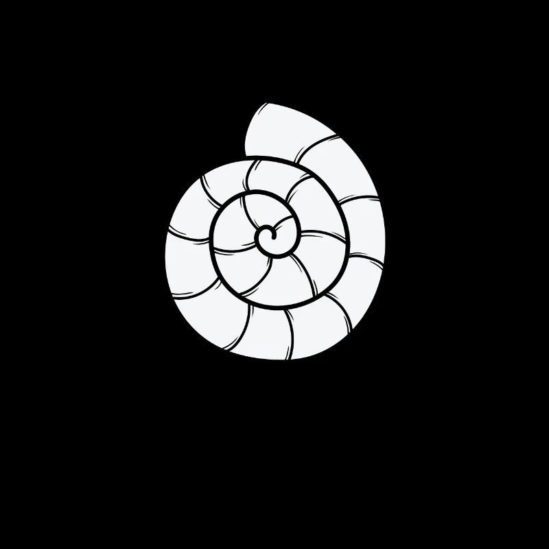 Snail Shell Spiral Snail