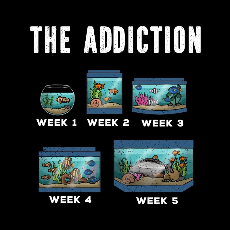 Cadeau de poisson d’aquarium