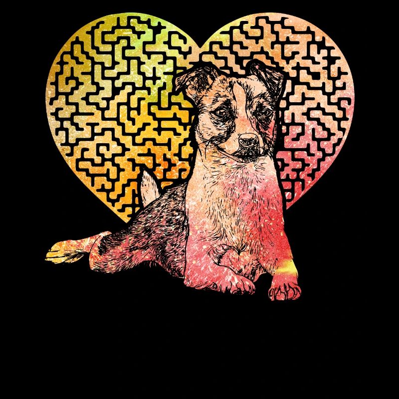 Jack Russell Terrier