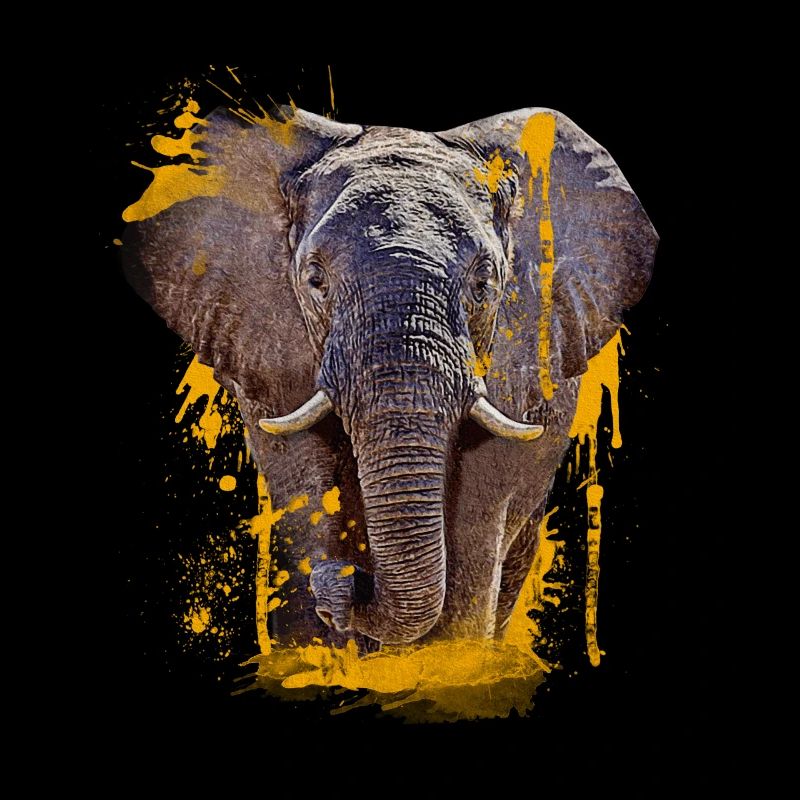 Elephant Head Animal Proboscis Elephant