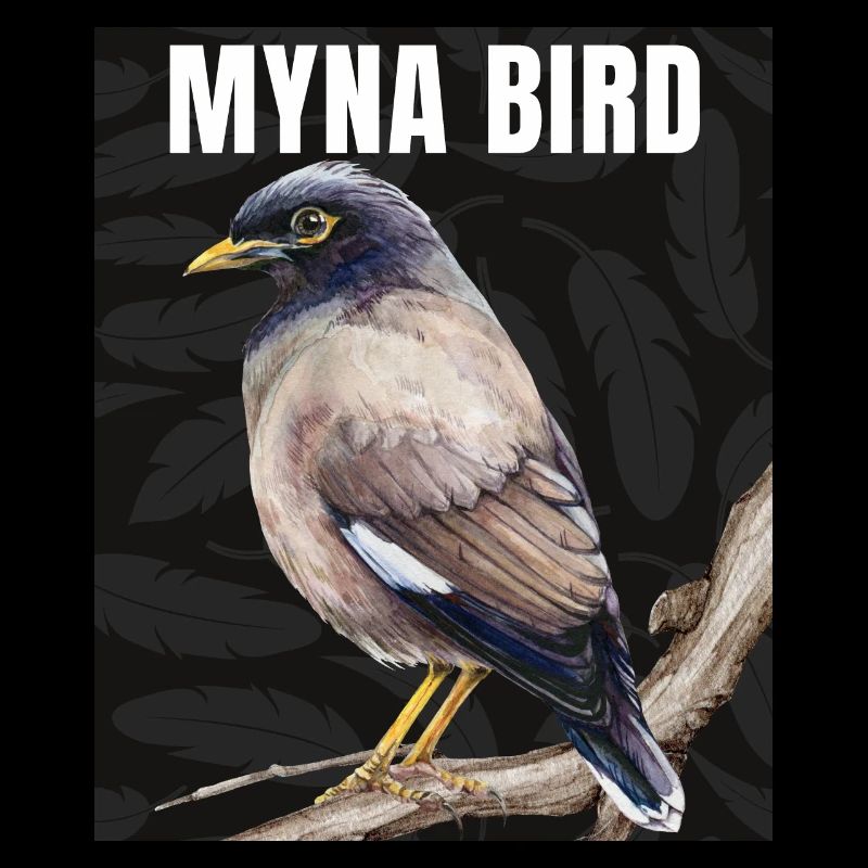 Myna Bird Collection – Eleganz trifft ätherisch