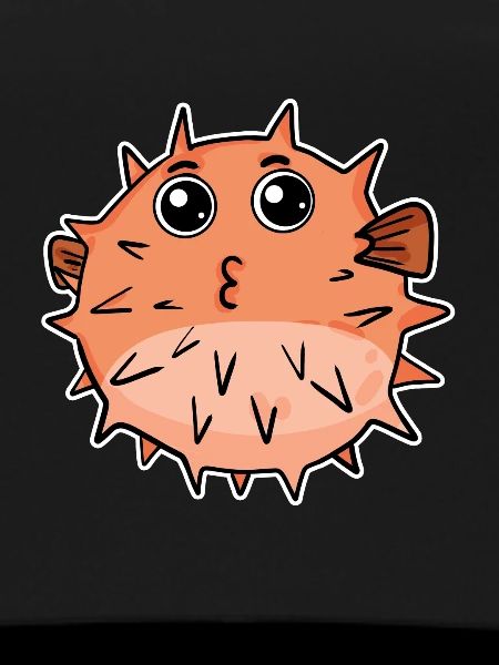 Kugelfisch fisch