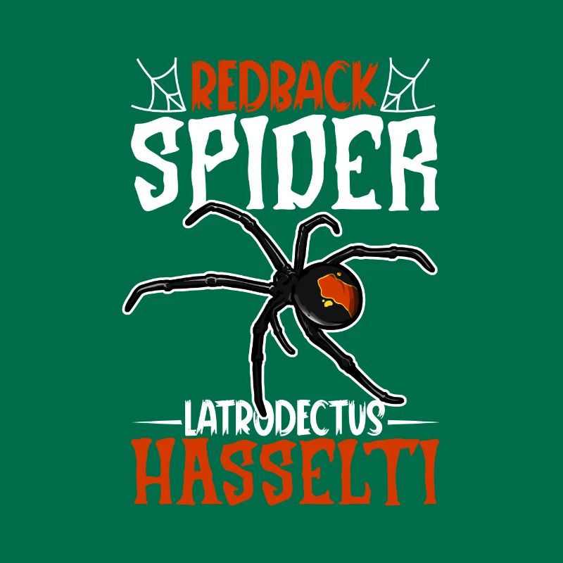 Redback Spider