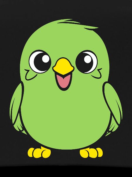 Cute little parakeet