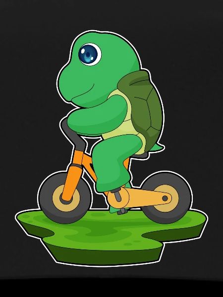 Turtle Bicycle