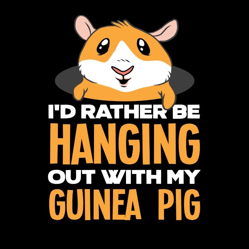 Cochon d’Inde animaux cadeau