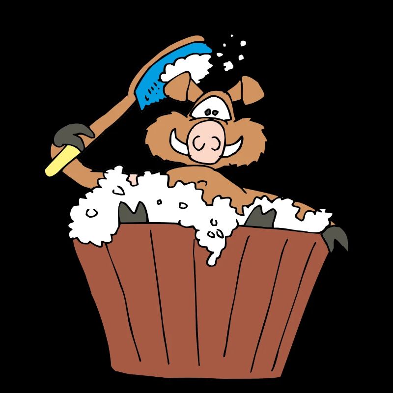 Old boar takes a bath
