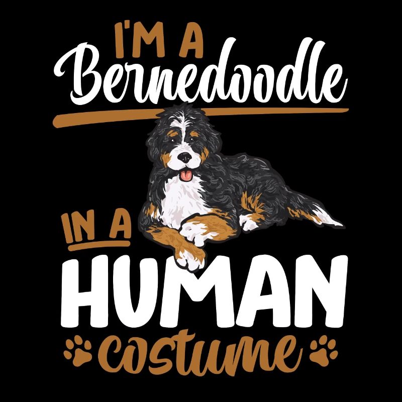 Bernedoodle Hund