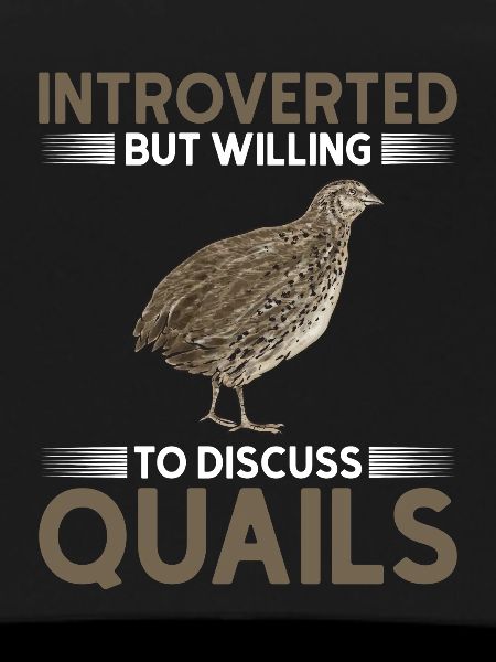 Quail Bird