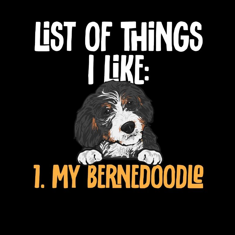 Chien Bernedoodle