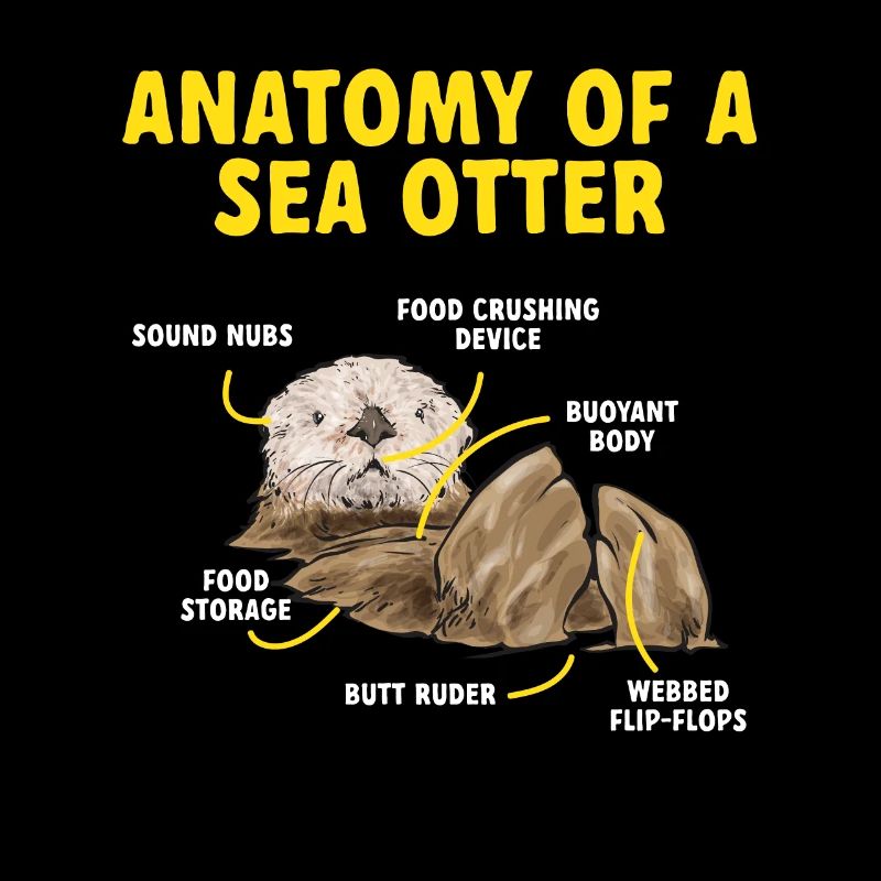 Seeotter