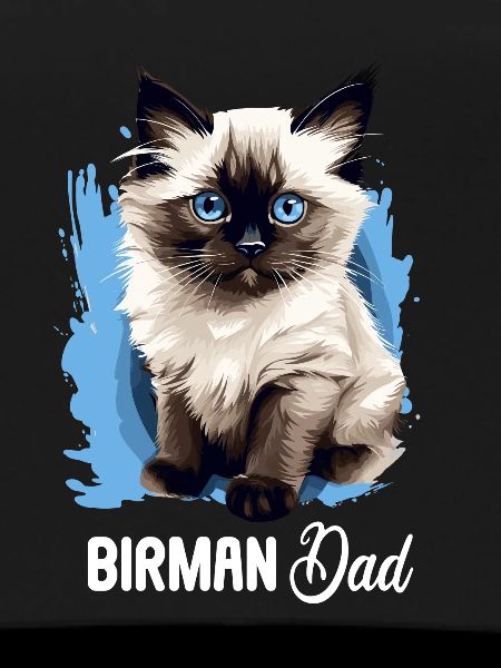 Birman Cat Birma Katze