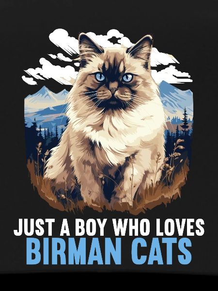 Birman Cat Birma Katze